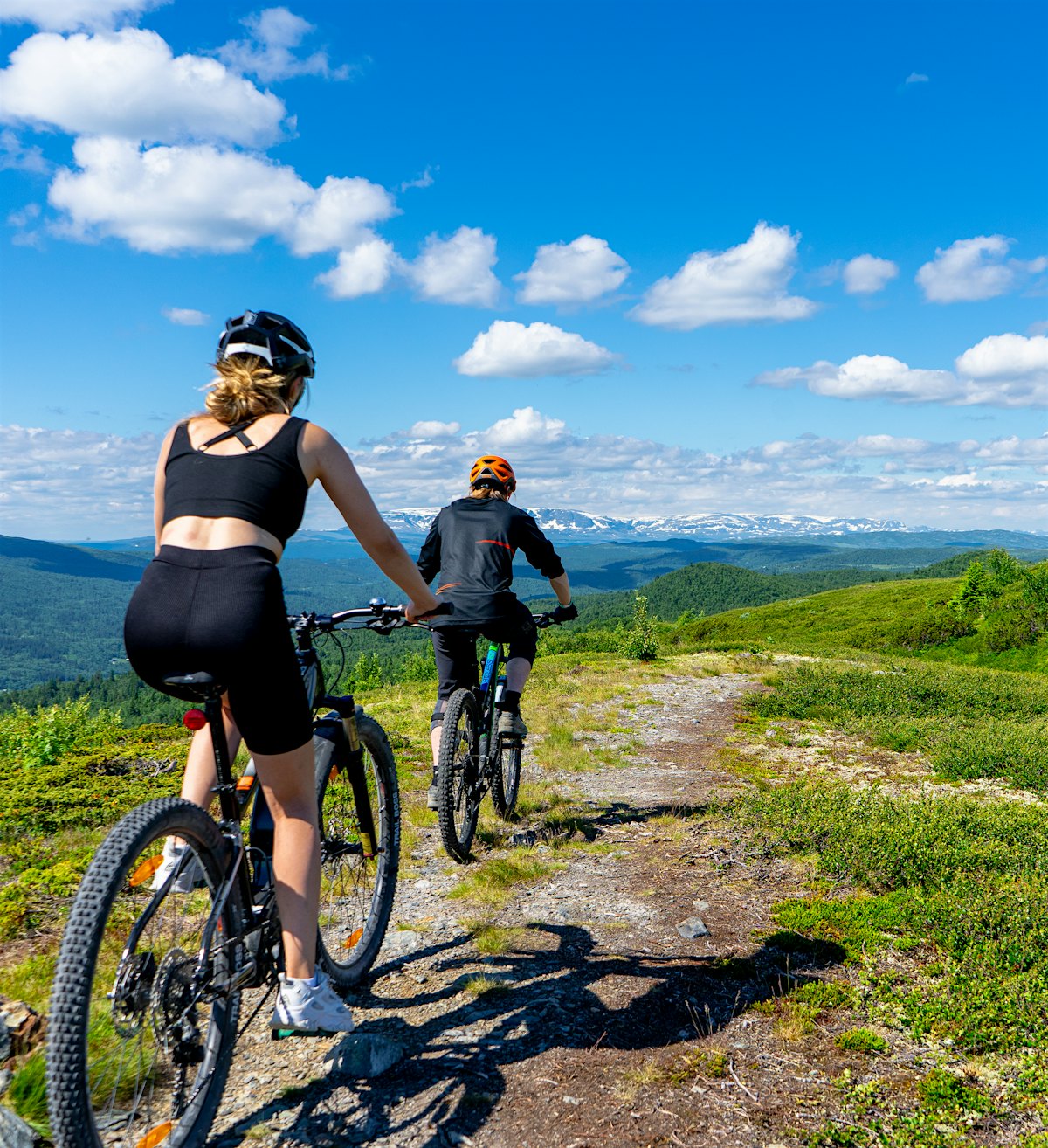 En kvinne og en mann sykler med ryggen til kamera bortover fjellsti, Det er grønt rundt dem.