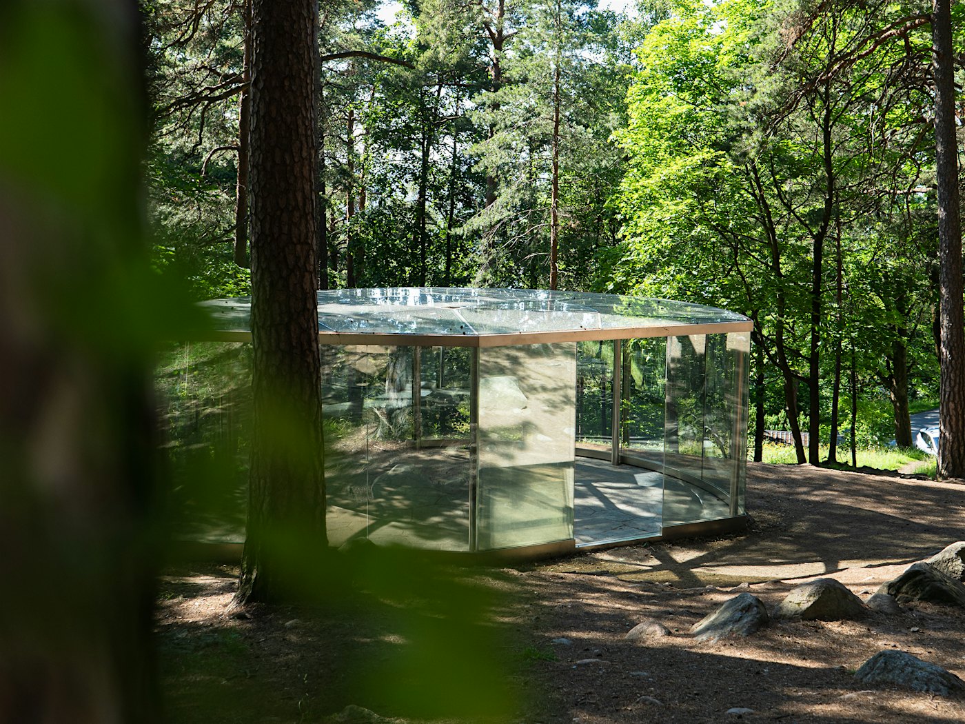 Glass house in forest. Photo