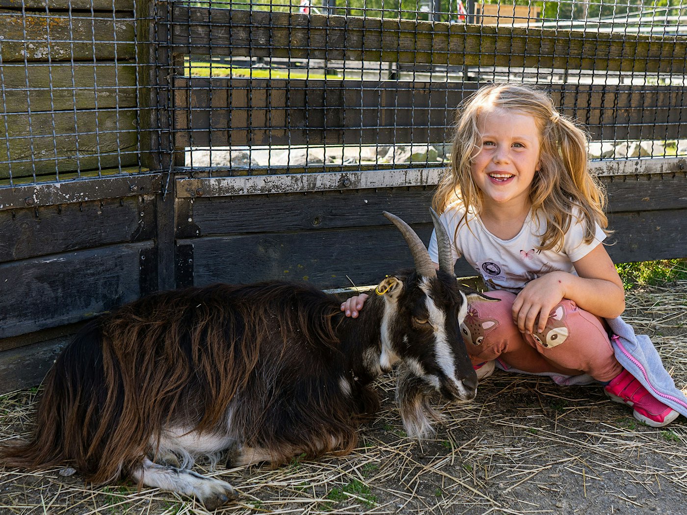 Tierpark Ekeberg, kleines Mädchen, das eine Ziege streichelt