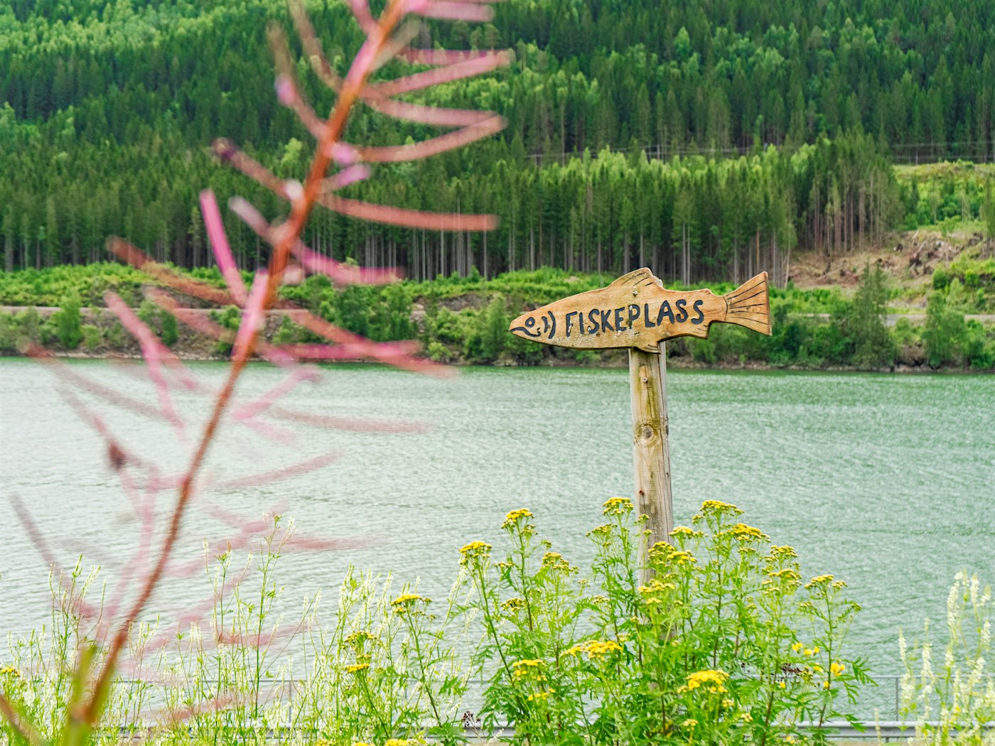 Sign for a fishing spot with water and trees in the background. Photo