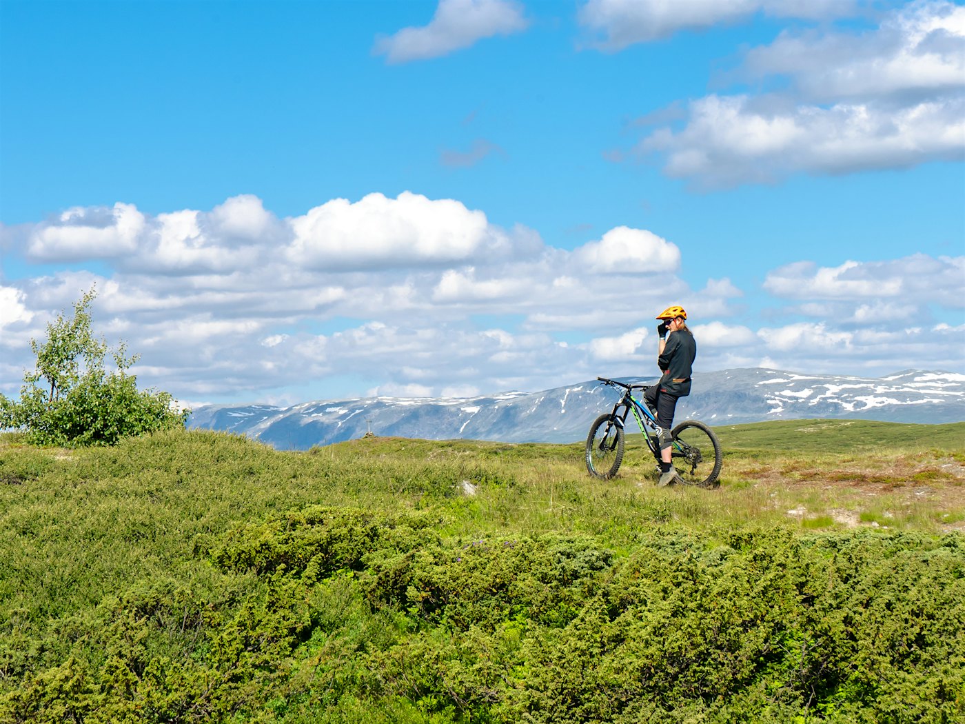 A boy rides a mountain bike in good weather. Photo