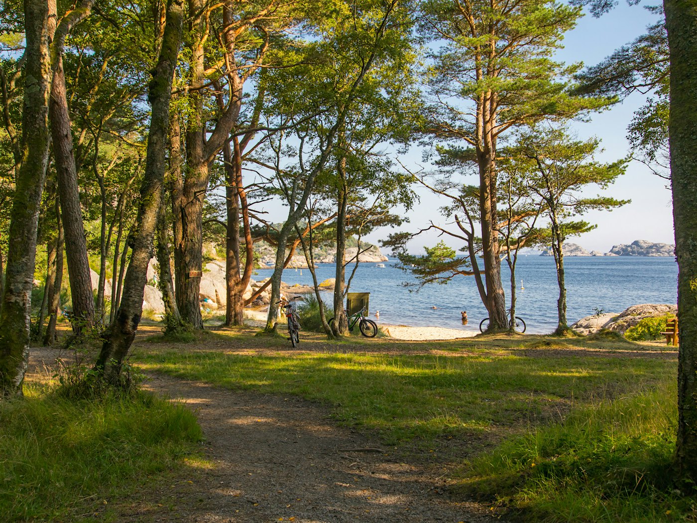 Zwei Fahrräder stehen in einem Wald mit einem Strand im Hintergrund. Foto
