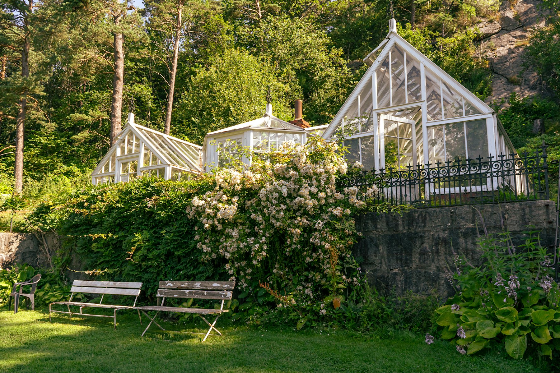 A white greenhouse among green plants and trees, with two benches in front. Photo