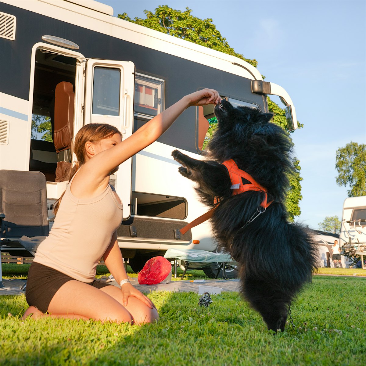 Girl plays with dog outside mobile home. Photo