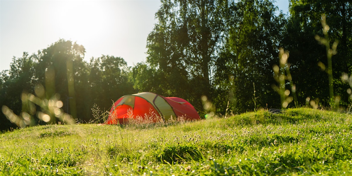 The tent is on a grassy area with the evening sun shining. Photo