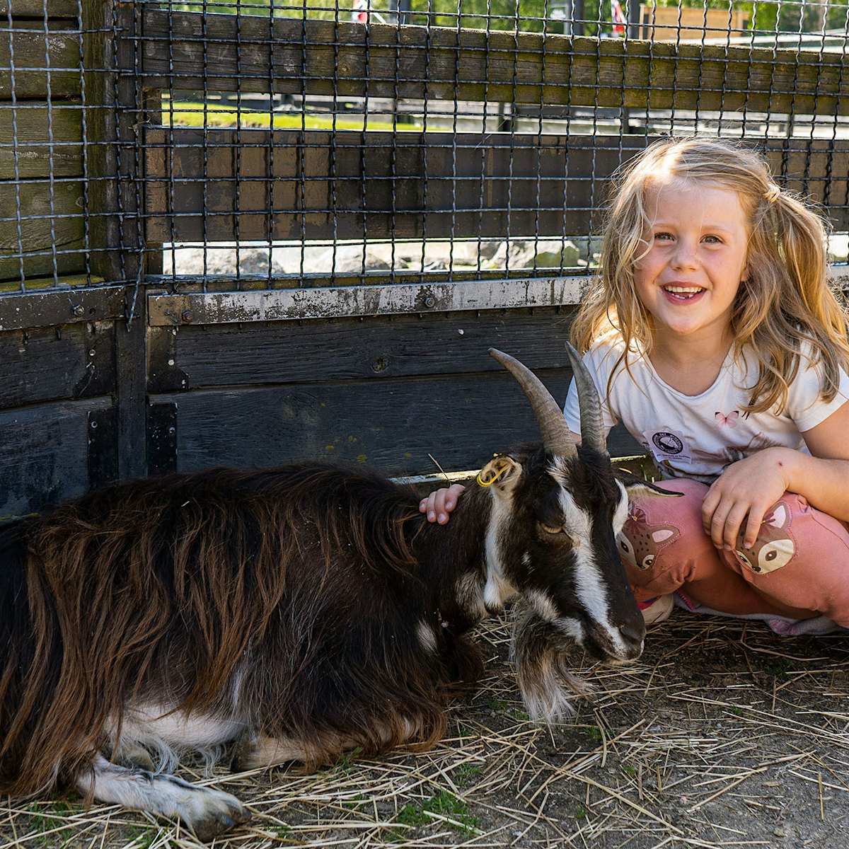 Ekeberg Animal Park, little girl petting a goat