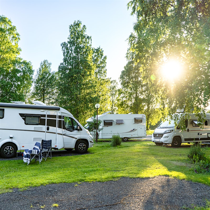 Three motorhomes are parked under a tree with the evening sun shining over the space. Photo