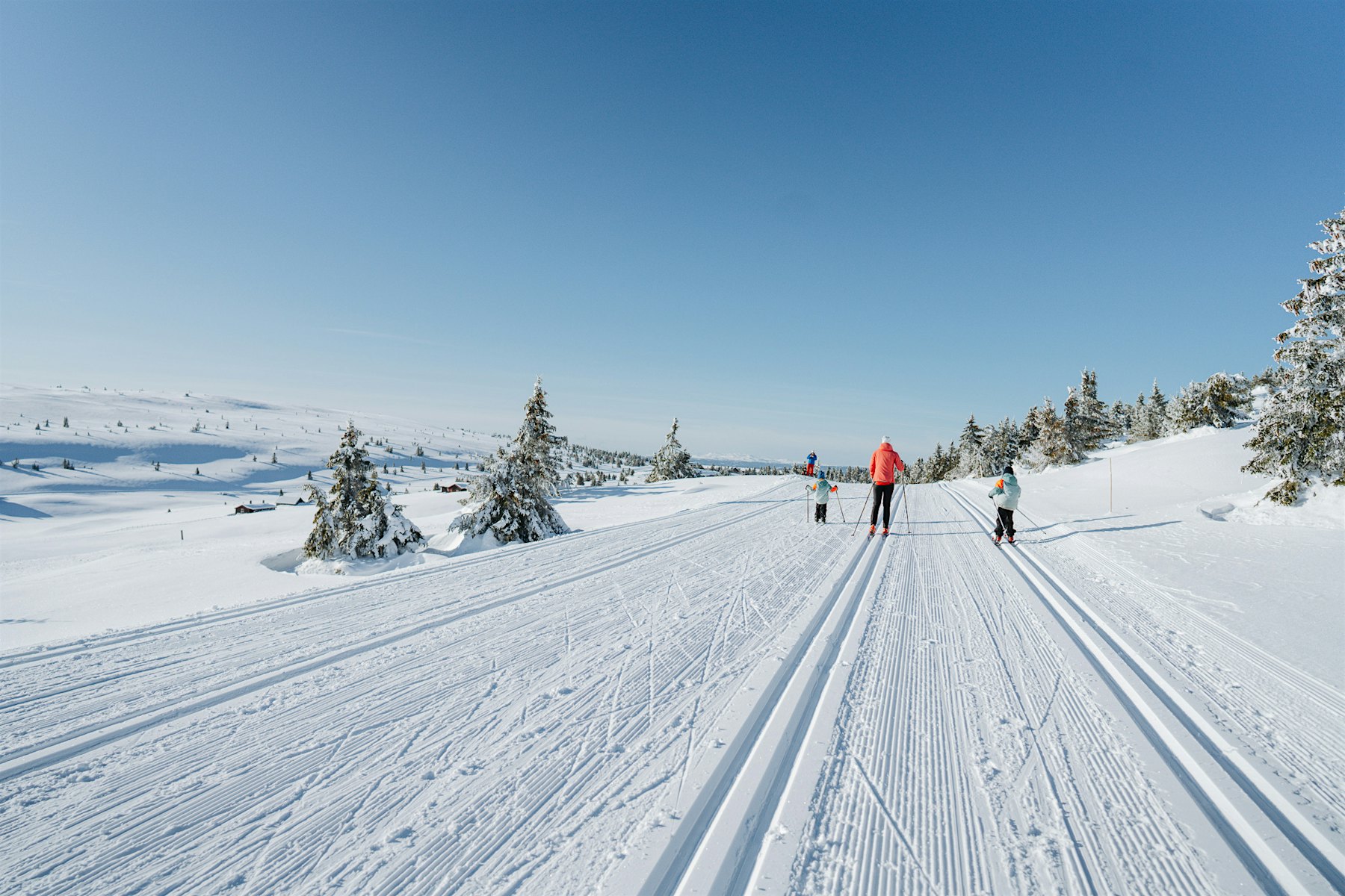 Cross-country skiing in perfect ski tracks on Øyerfjellet near Hafjell