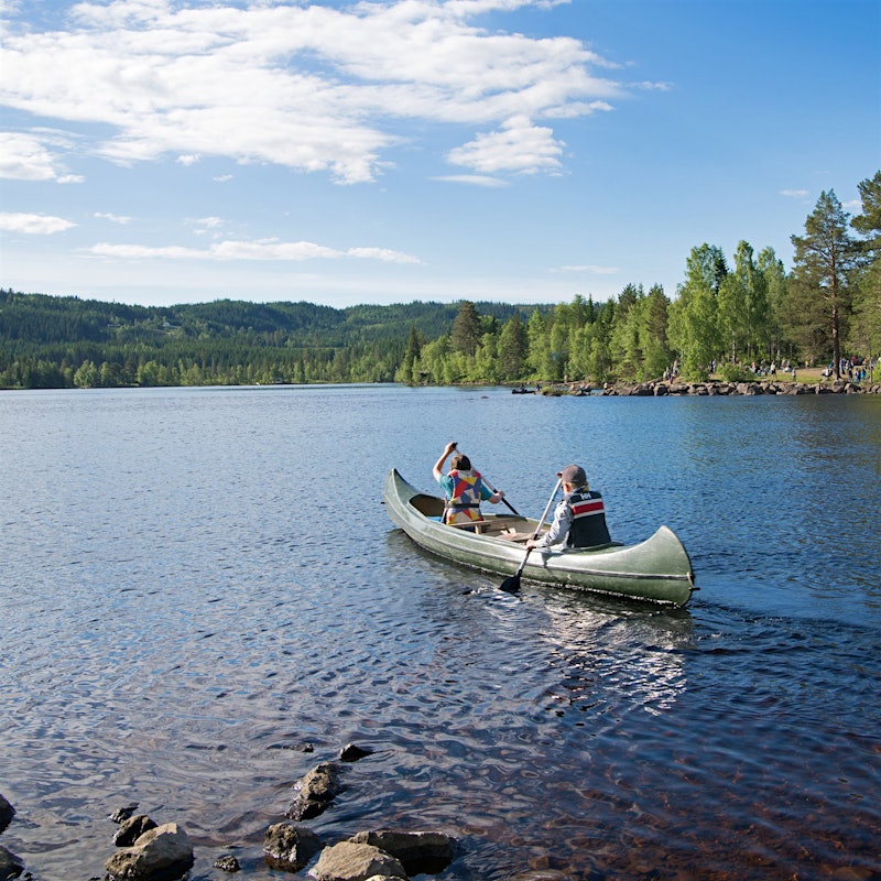 Two people are paddling in a canoe on a lake, surrounded by green forest. Photo