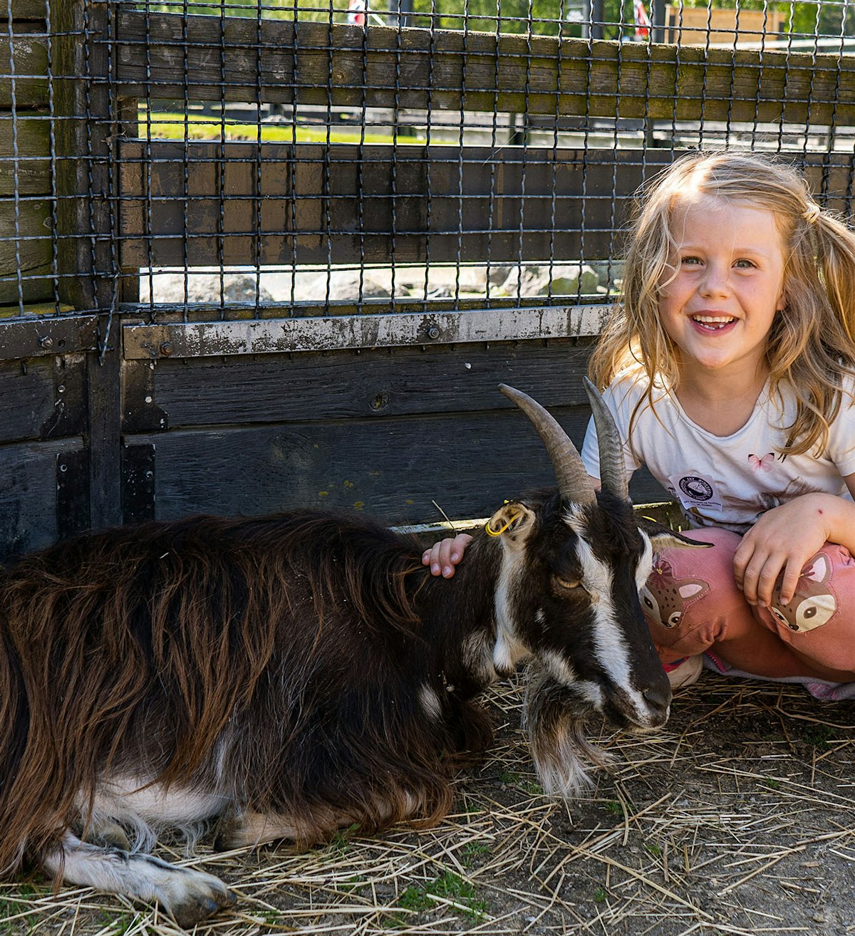 Tierpark Ekeberg, kleines Mädchen, das eine Ziege streichelt